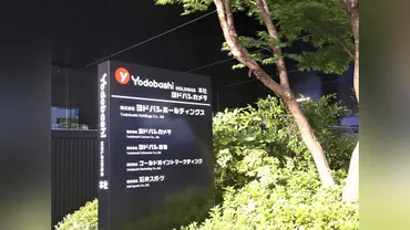 ヨドバシカメラ、PB家電の製造業者への支払いを不当に減額…下請法違反で公取委が勧告へ : 読売新聞