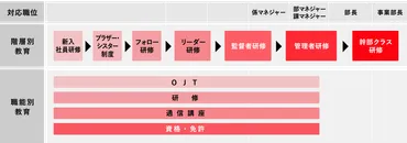 人材育成・キャリアパス