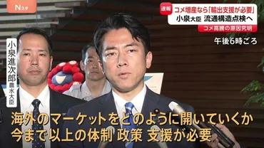 小泉大臣゛コメ増産なら輸出支援を強化゛ コメ高騰の゛要因゛流通構造を点検へ「今までの流通のすべてを一回総ざらい」