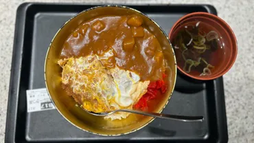 富士そば限定12店舗】金の器で食べる贅沢カレーカツ丼は三元豚使用の大きめカットで大満足な一杯!(高木それと)