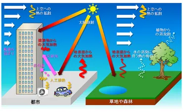 ヒートアイランド現象とは?地球温暖化との違いは?影響や対策・現状や原因をわかりやすく解説!
