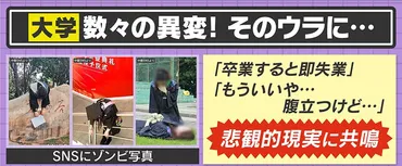 情報ライブ ミヤネ屋
