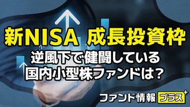 新NISA 成長投資枠 逆風下で健闘している国内小型株ファンドは?