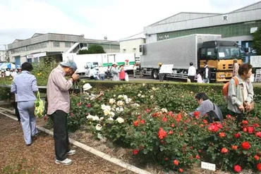 日本フルハーフの持続可能な未来への取り組みとは？環境問題と業績回復への道を探る？トラックボデー業界をリードする日本フルハーフの最新情報と、未来への展望