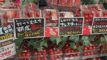 瀬戸内の島で育った人気のミニトマト スーパーに初入荷 糖度がポイント「スイートルビー」
