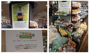 横川本店「やさいバス」スタート!【地産地消の推進】 – 株式会社フレスタ