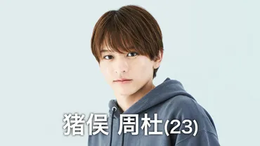 timelesz(タイムレス)新メンバーのプロフィールや経歴を徹底解説