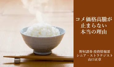 備蓄米放出後もコメ価格が高騰しているのはなぜ? 答えは突然の需要回復 野村證券・山口正章