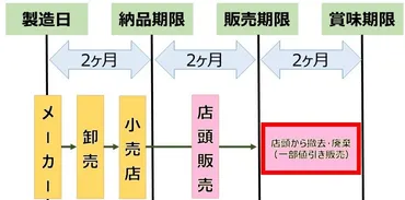 おさらい】食品の「３分の１ルール」とは？ ムダに捨てられないよう皆がすぐ出来る事