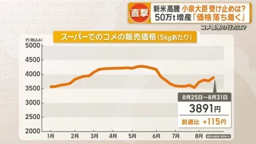 新米価格が高騰、農家は「コメ離れ」危惧 小泉農水大臣「冷静になって」(テレ朝NEWS)