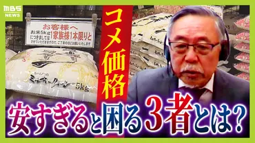 なぜコメの値段は下がらない?】落札9割JAと買い戻し制度を専門家が指摘 さらに『コメが安すぎると困る人たち』の存在?【元農水官僚の見解】(MBSニュース)