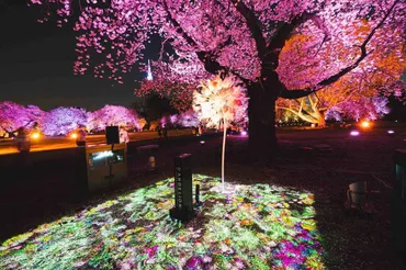 トヨタのMIRAIで花見が変わる!?「#電気が動くとできること」が生んだ新スタイル「NAKED桜の新宿御苑2023」が始まった