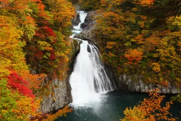 鳥海山の紅葉が見頃を迎えています!!