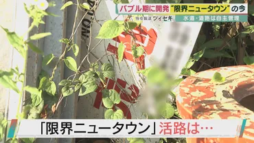 限界集落ならぬ「゛限界ニュータウン」のいま 都市から離れた山の中…バブル期に開発『関西の軽井沢』 新築時2600万円→100万円台に゛大暴落゛  住民も高齢化で「所有者不明」物件も…゛破格の安さ゛に活路？ 