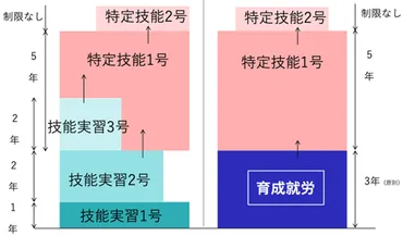 外国人材の「育成就労制度」が新設！主な改正ポイントを解説 