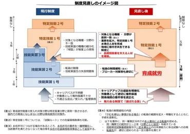 最新情報】新制度「育成就労」について
