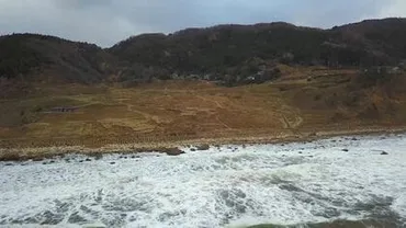 能登半島地震と豪雨が残した傷跡、そして再生への道：白米千枚田は今？被災からの復興：白米千枚田の再生へ向かう人々の姿