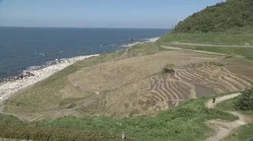 家族2人を失い、地震・豪雨2度の災禍を経験 棚田を守り続ける男性の1年 