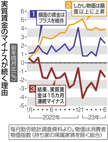 実質賃金はなぜ下がり続けている？ 企業、政府、個人でできる対策とは？（実質賃金、物価上昇、賃上げ？）実質賃金低下の現状と対策