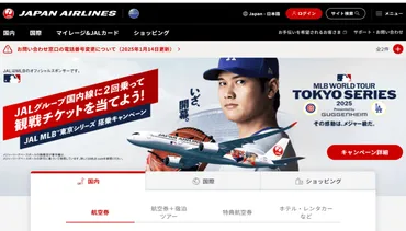 JALの飲酒問題が浮き彫りにした航空業界の安全課題 