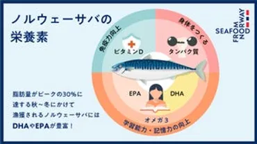 2024年ノルウェー水産物年間輸出統計の実績発表 