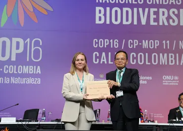 イオン環境財団 第8回生物多様性みどり賞 授賞式をCOP16会場で実施