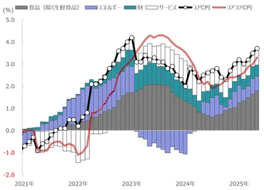 日本】2025年5月のコアCPIは前年同月比3.7%上昇 コメは同101%上昇 
