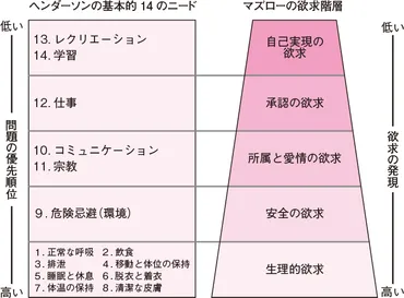 アブラハム・H.マズローの看護理論：ニード論（実践に生かす中範囲理論） 