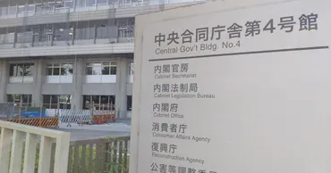味の素の冷凍食品宅配にステマ疑い 消費者庁が改善計画を認定 