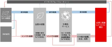 TNFDの基礎知識：LEAPアプローチの解説（4）Evaluateの解説 