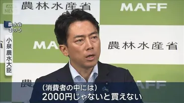 小泉大臣「備蓄米の定期販売も選択肢」 コメ価格が高止まりするなか（テレ朝NEWS）