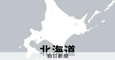 ラピダスと北海道が工場排水めぐり協定 PFASを毎月測定へ 北海道 PFAS問題：朝日新聞