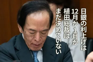日銀の利上げは12月か1月か、植田総裁はまだ決めていない（愛宕伸康） 