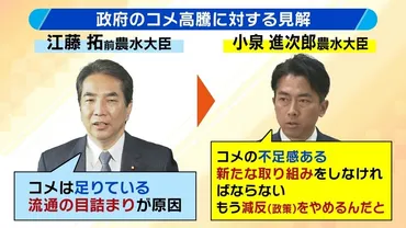 コメ高騰】小泉大臣「もう減反をやめるんだ」どうなるコメ政策の未来 専門家が考える゛三方よし゛の『コメ農家大規模化 』とは【解説】（MBS特集）