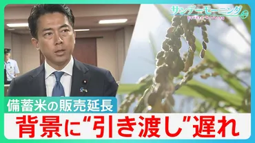 大変嬉しい決定」備蓄米販売期間を9月延長も…背景に゛引き渡し゛の遅れ 新米高騰で続くコメ価格の二極化【サンデーモーニング】 