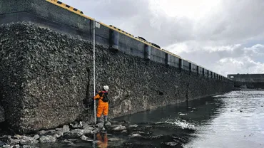能登半島地震 ～海沿い景観一変～ 繰り返された大規模隆起 最大4メートル 新たな海岸段丘が出現：東京新聞デジタル