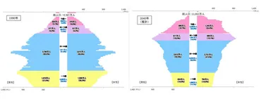 2040年問題とは？：団塊ジュニア世代を襲う試練と対策とは？団塊ジュニア世代の直面する未来：経済的・社会的な課題
