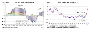 消費者物価（全国24年2月）－サービス価格の上昇率はさらに高まる可能性 