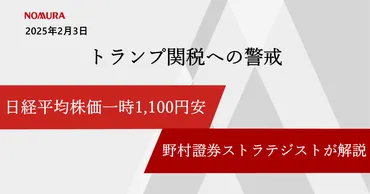 トランプ再選で日本経済はどうなる？2025年株価大暴落の真相と投資戦略？2025年株価大暴落の要因と、トランプ再選後の日本経済への影響
