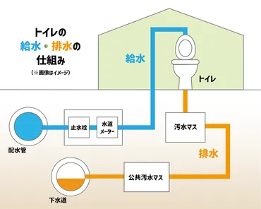 トイレ問題、未来への提言？女性用トイレの課題と、未来への展望を探る女性用トイレ問題：現状と、今後の対策