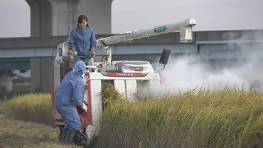 ごはん : 作品情報・キャスト・あらすじ 