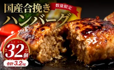 九州産黒毛和牛入 生ハンバーグ 20個入 肉汁たっぷり 120g×20個 黒毛和牛 九州産 牛豚合挽 ハンバーグ 柔らかい 肉 牛 小分け  お取り寄せグルメ お取り寄せ グルメ 九州 福岡県 古賀市 