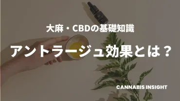 アントラージュ効果の意味とは？ テルペンやカンナビノイドの相乗効果について 