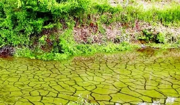 リニア工事で水位低下/岐阜・瑞浪 ため池・井戸に影響