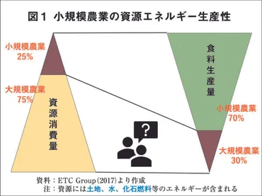 食料自給率高める農業政策へ転換を 「今こそ日本の食と農を守ろう」緊急集会での生産者や学者からの提言 