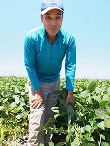 青木農場、働き方改革で担い手確保 特産くろさき茶豆、手摘み収穫から自動化