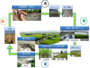 世界農業遺産「持続可能な水田農業を支える『大崎耕土』の伝統的水管理システム」／大崎市