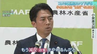 コメ価格高騰と減反政策の終焉？コメ政策見直しに見る日本の食料自給の行方とは？減反政策廃止、コメ輸出拡大、作況指数廃止…コメを巡る政策の最前線