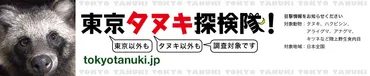 タヌキと西武線：都市と野生動物の交差点？2025年10月5日、西武池袋線を揺るがしたタヌキ騒動