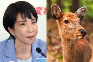 奈良公園の鹿問題とは？高市氏の発言から考える、メディア、観光客、そして鹿たちの未来(？)高市氏発言を巡る騒動：鹿への暴行疑惑と報道の真実